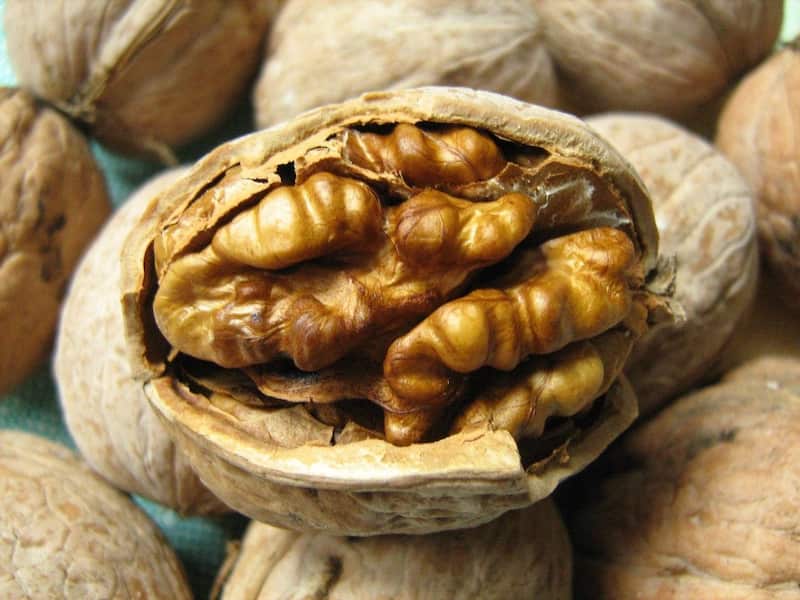 گردو پوست کاغذی